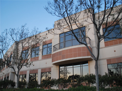 company-building